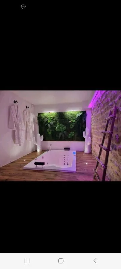 Romantique Room : bain à remous et mur végétal, love room à Charleville-Mézières